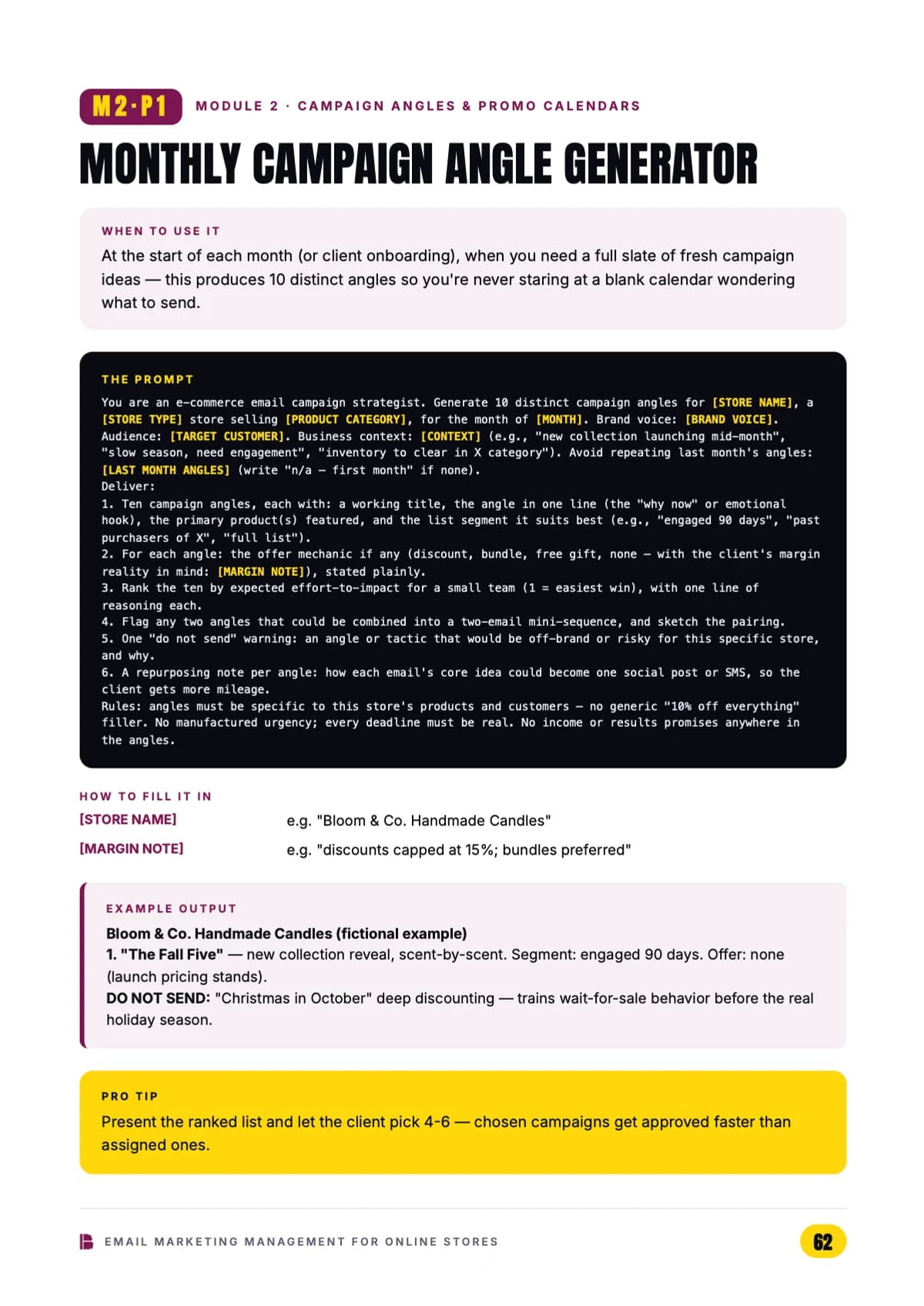 Email Marketing Management for Online Stores — Campaign angles & promo calendars — Module 2